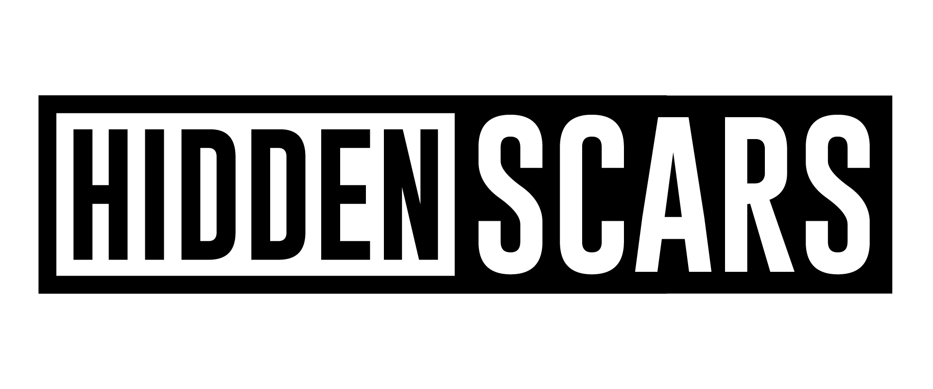 Hidden Scars Inc